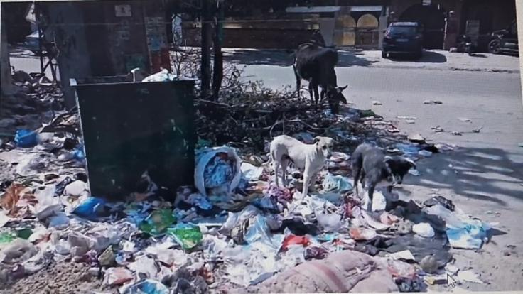 WhatsApp Image 2026-02-08 at 5.48.56 PM (1)-jSwNFE22Q2.jpg